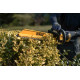 Кущоріз акумуляторний DeWALT DCMHT562P1